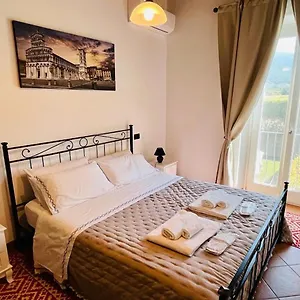 Giardino Delle Camelie , Capannori Italy